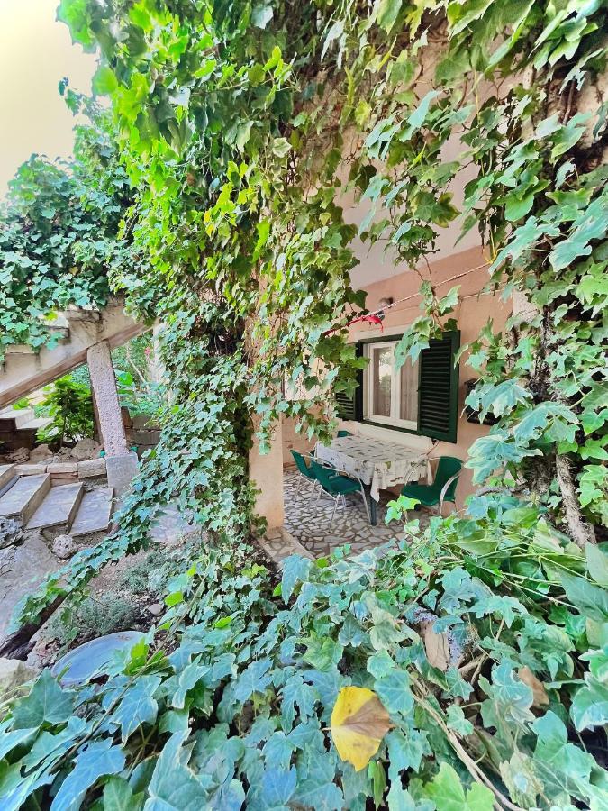 אורביץ Elite Residence Flos מראה חיצוני תמונה